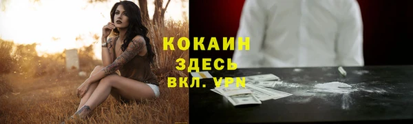 гашик Богородск
