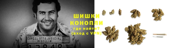 гашик Богородск