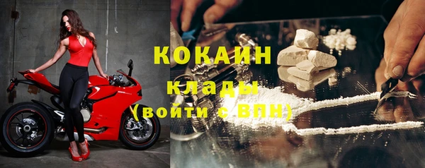 apvp Богородицк