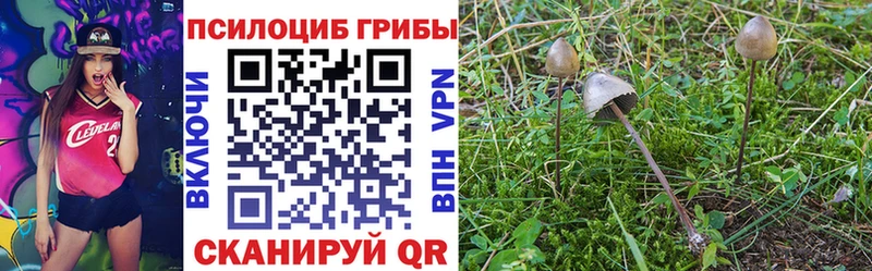 Псилоцибиновые грибы Psilocybine cubensis  Купить  Мыски 